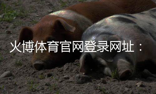 火博体育官网登录网址：赛事精彩纷呈
