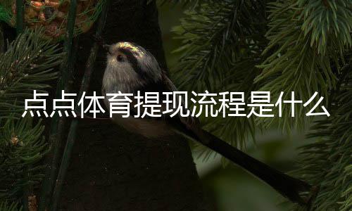 点点体育提现流程是什么?详细步骤、到账时间与常见问题一看就懂