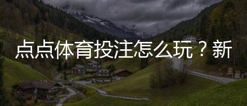 点点体育投注怎么玩?新手入门攻略、玩法解析与实战技巧