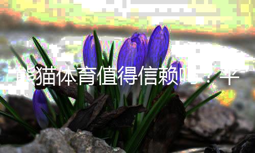 熊猫体育值得信赖吗？平台资质、安全性、提现速度与真实用户口碑全方位解析