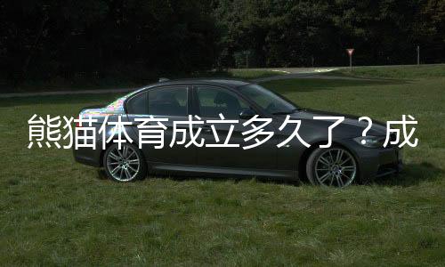 熊猫体育成立多久了?成立时间、发展历程与主要业务一文看懂
