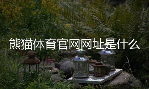 熊猫体育官网网址是什么?最新版官网入口、登录与安全访问全攻略
