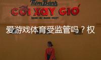爱游戏体育受监管吗？权威解读平台合法性、监管机构与用户风险