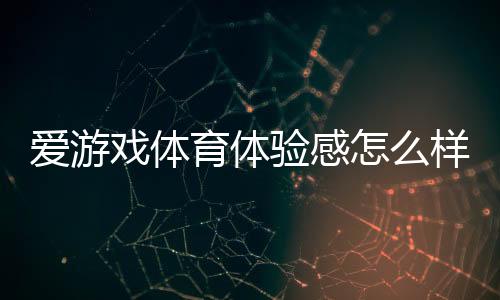 爱游戏体育体验感怎么样？真实用户评测与新手使用攻略