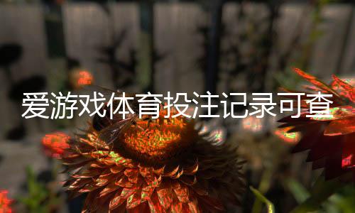 爱游戏体育投注记录可查吗?三步在线查询投注记录与证据保存指南