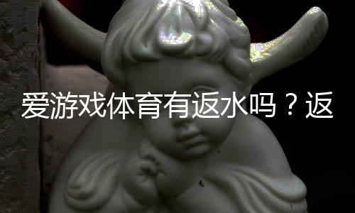爱游戏体育有返水吗?返水比例、领取流程与注意事项全面解析