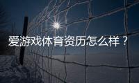 爱游戏体育资历怎么样？2026年平台资质、监管与安全全面解析