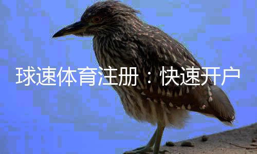 球速体育注册:快速开户指南与新手优惠详解