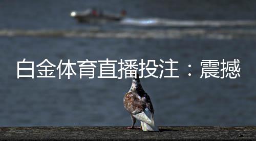 白金体育直播投注：震撼体育赛事实时激情！