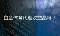 白金体育代理收益高吗？值得期待！