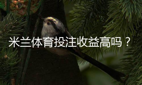 米兰体育投注收益高吗?真实收益分析与风险控制策略