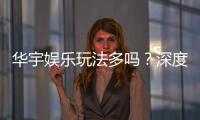 华宇娱乐玩法多吗？深度解析其丰富游戏选择与特色玩法