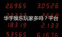 华宇娱乐玩家多吗？平台人气火爆程度深度解析