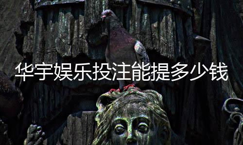华宇娱乐投注能提多少钱?揭秘提款规则与到账时间