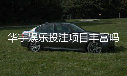 华宇娱乐投注项目丰富吗？深度解析其多元游戏与特色玩法
