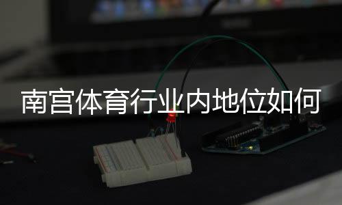 南宫体育行业内地位如何?市场份额、核心竞争力与发展前景深度解析
