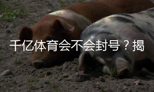 千亿体育会不会封号？揭秘真相
