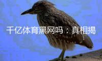 千亿体育黑网吗:真相揭秘