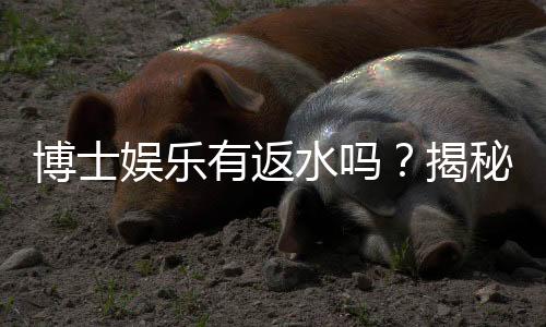 博士娱乐有返水吗？揭秘返水规则与高返利技巧