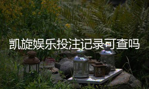 凯旋娱乐投注记录可查吗?一文详解查询方法与注意事项