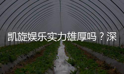 凯旋娱乐实力雄厚吗?深度解析其平台优势与玩家真实评价