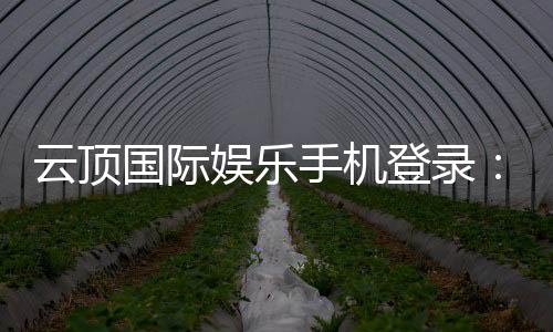 云顶国际娱乐手机登录:畅享移动端棋牌电游的极致体验