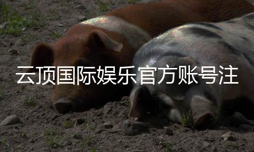云顶国际娱乐官方账号注册：轻松三步完成畅享顶级游戏体验