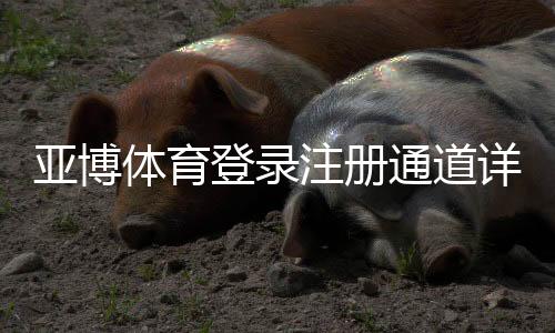 亚博体育登录注册通道详解:新手注册步骤、安全登录与常见问题解决