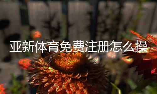 亚新体育免费注册怎么操作?新手一步步注册教程与优惠领取攻略