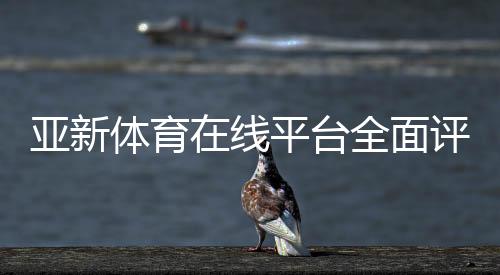 亚新体育在线平台全面评测与新手使用指南:注册、充值、玩法与安全攻略