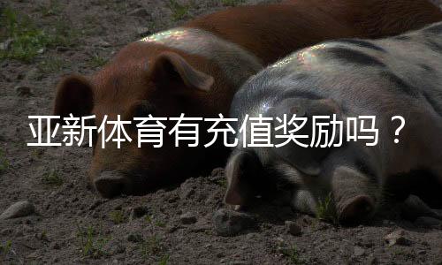 亚新体育有充值奖励吗?充值奖励类型、领取步骤与注意事项全面解析
