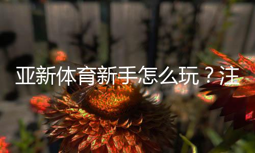 亚新体育新手怎么玩?注册、充值、投注全流程与实用入门攻略