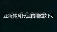 亚新体育行业内地位如何？2026年市场份额、竞争力与发展前景深度解析