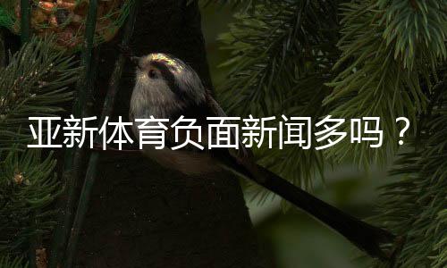 亚新体育负面新闻多吗?真实报道盘点、用户口碑与防骗指南