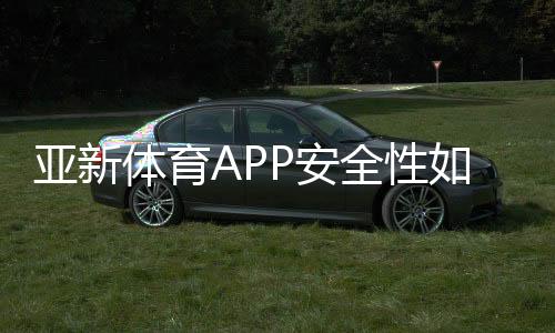 亚新体育APP安全性如何?隐私保护、资质与支付安全全面解析