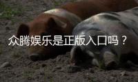 众腾娱乐是正版入口吗？揭秘平台资质与安全玩法指南