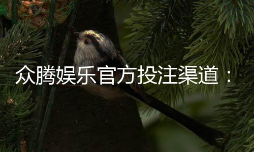 众腾娱乐官方投注渠道:安全可靠的娱乐平台首选
