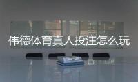 伟德体育真人投注怎么玩？新手入门规则、下注流程与实战技巧全攻略