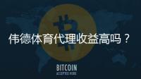 伟德体育代理收益高吗？佣金构成、利润预估与风险全解析