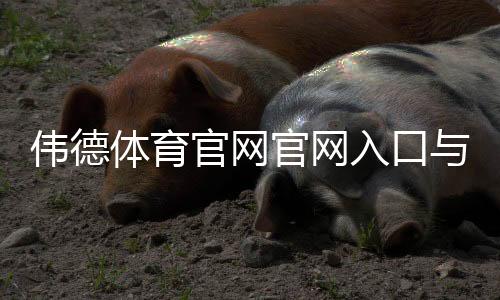 伟德体育官网官网入口与新手注册登录完整教程