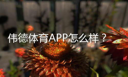 伟德体育APP怎么样?2026最新版功能、玩法与安全性全方位评测