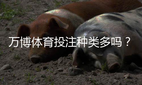 万博体育投注种类多吗？一文看懂常见玩法、玩法差异与新手攻略