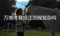 万博体育投注流程复杂吗?新手必看:开户、充值、投注到提现全流程详解