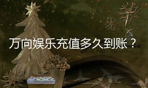 万向娱乐充值多久到账?实测到账时间与快速入款技巧分享