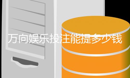 万向娱乐投注能提多少钱?揭秘提款规则与到账时间