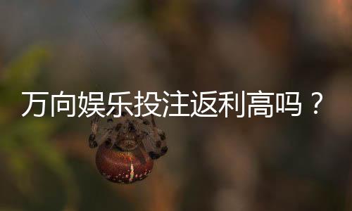 万向娱乐投注返利高吗？揭秘高返利平台的真实玩法与技巧