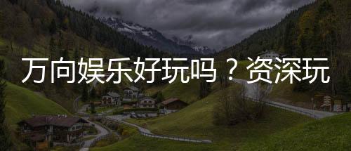 万向娱乐好玩吗?资深玩家带你揭秘真实体验