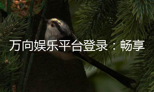 万向娱乐平台登录:畅享顶级游戏体验与安全登录指南