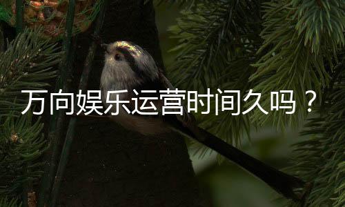 万向娱乐运营时间久吗？资深玩家解析平台历史与稳定性