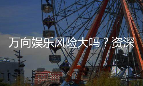 万向娱乐风险大吗？资深玩家揭秘真实体验与防坑指南